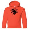 Hickory Youth Hooded Sweatshirt Thumbnail