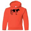 Hickory Youth Hooded Sweatshirt Thumbnail