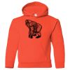 Hickory Youth Hooded Sweatshirt Thumbnail