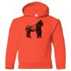 Hickory Youth Hooded Sweatshirt Thumbnail