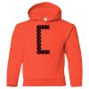 Hickory Youth Hooded Sweatshirt Thumbnail