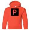 Hickory Youth Hooded Sweatshirt Thumbnail