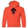 Hickory Youth Hooded Sweatshirt Thumbnail